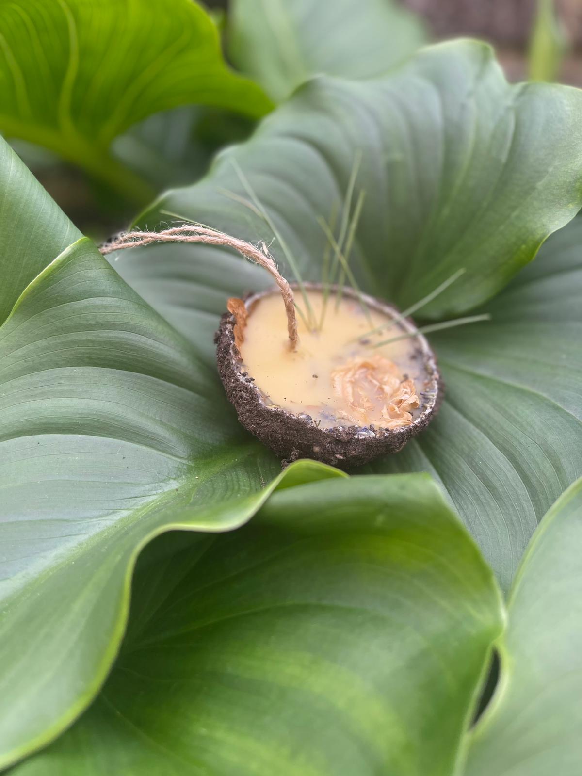 Natural beeswax candle with braided wick on tropical leaves